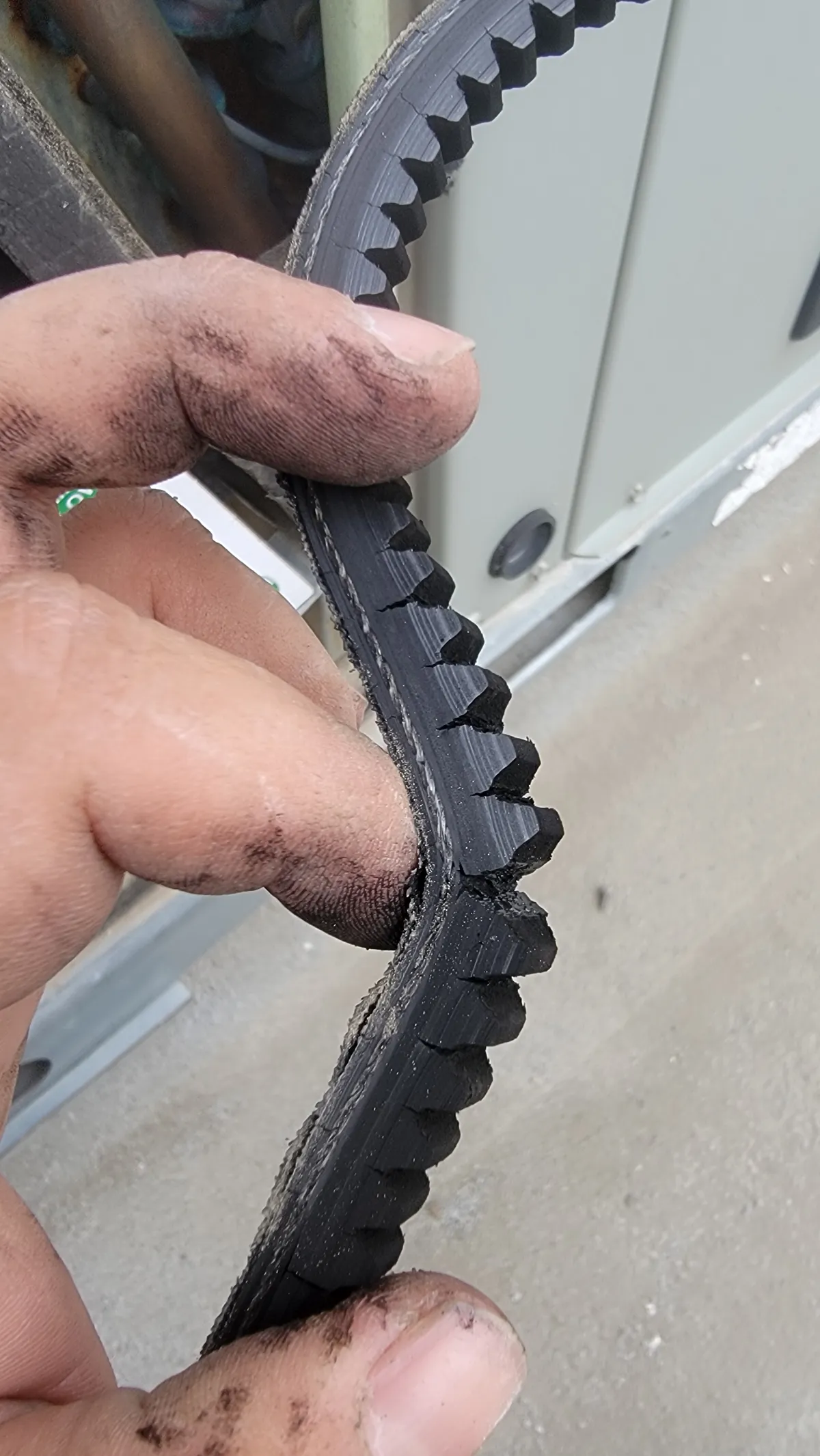 Progress photo showing damaged blower belt during Commercial Refrigeration repair in Coachella, California